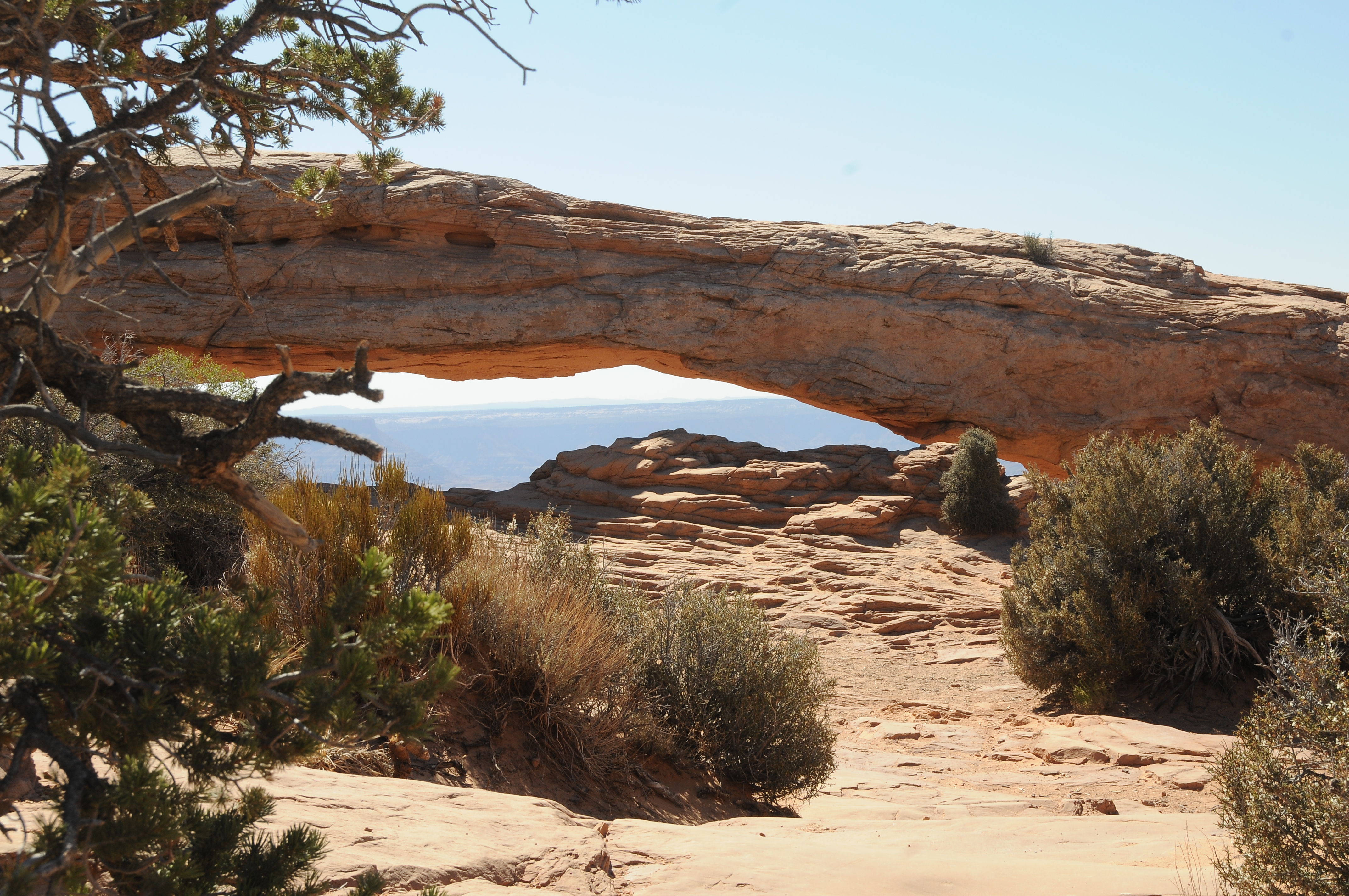 June 20, 2012 8:42 AM