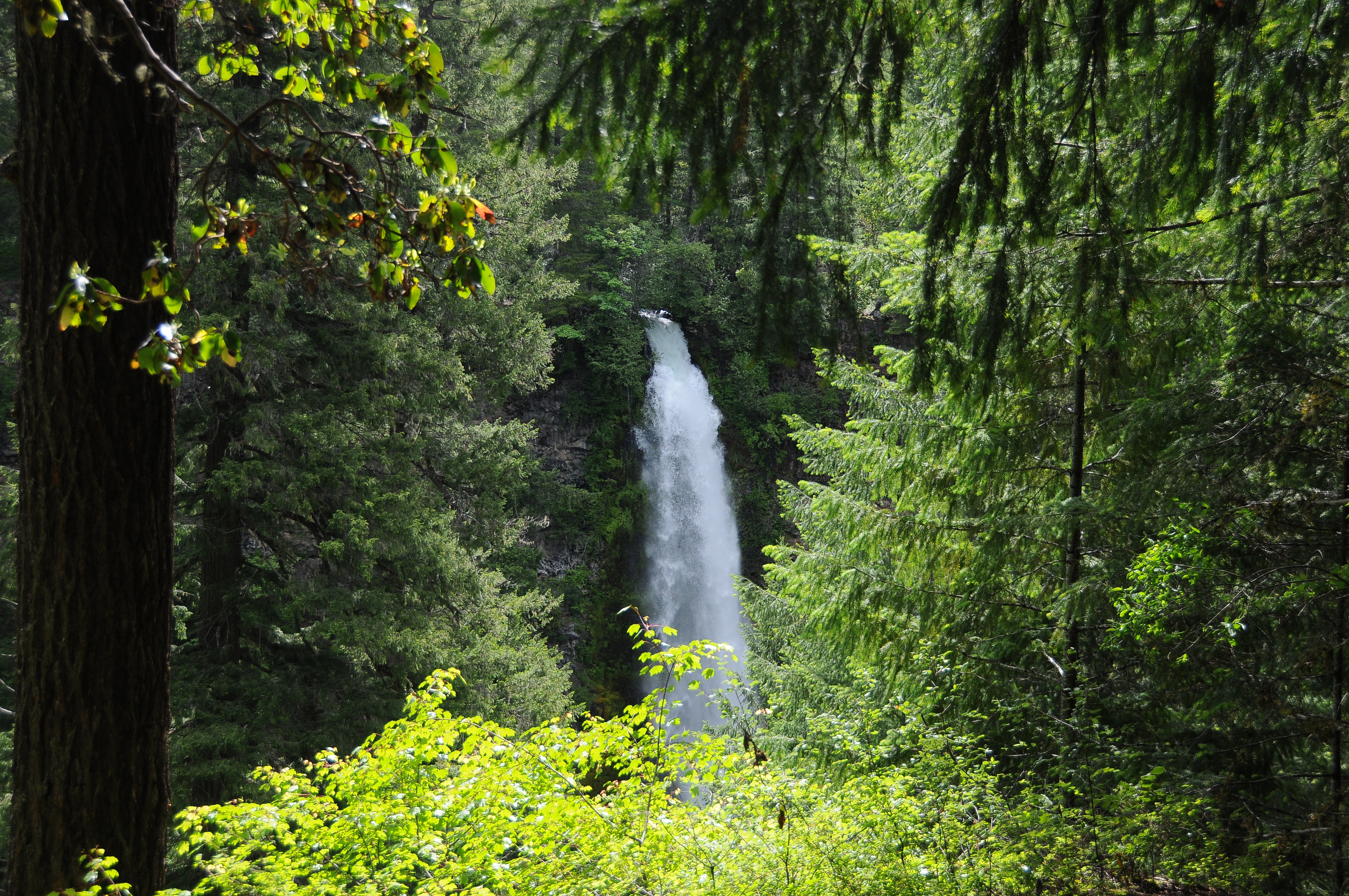 Pearsoney Falls