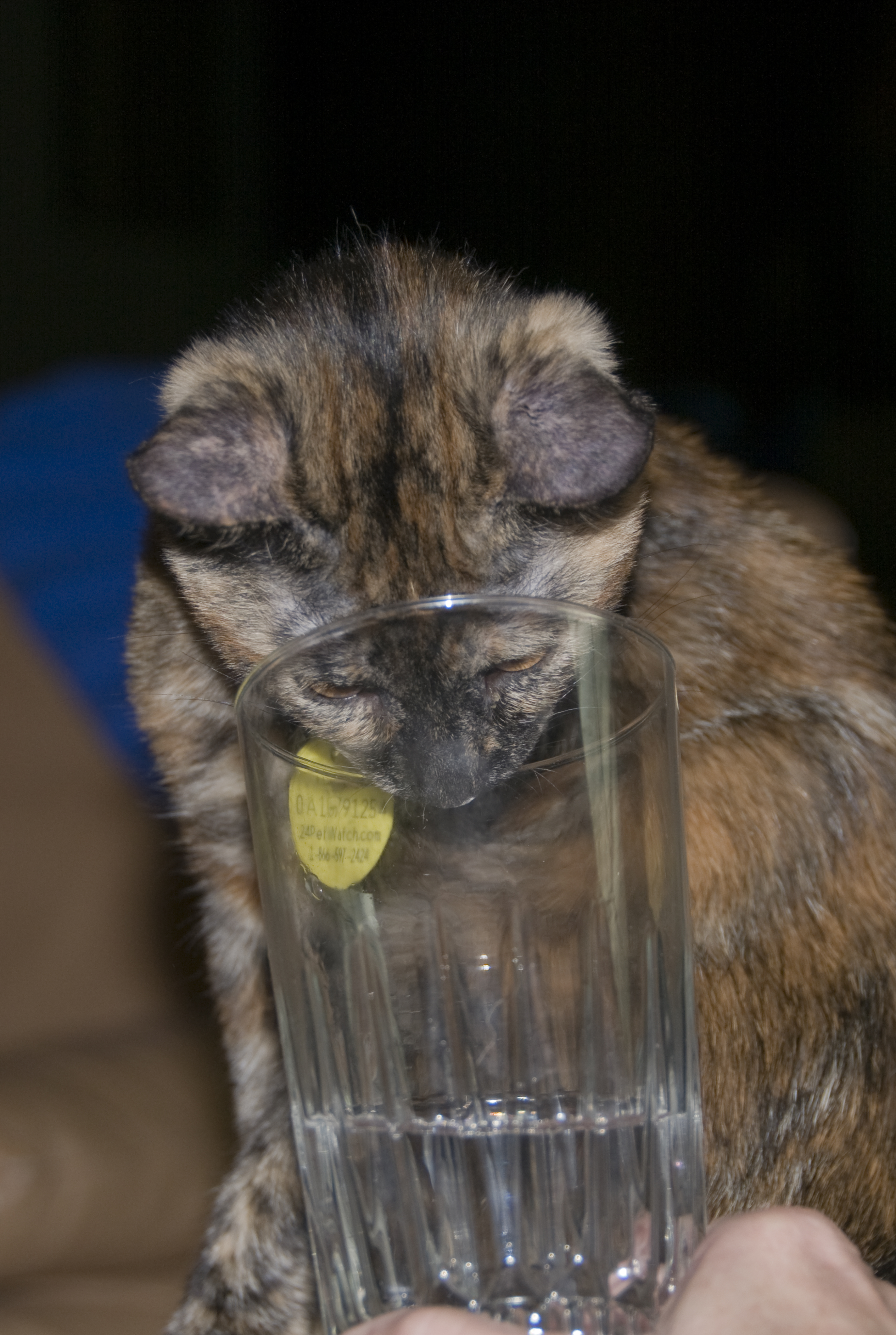 August 14, 2008 7:30 PM