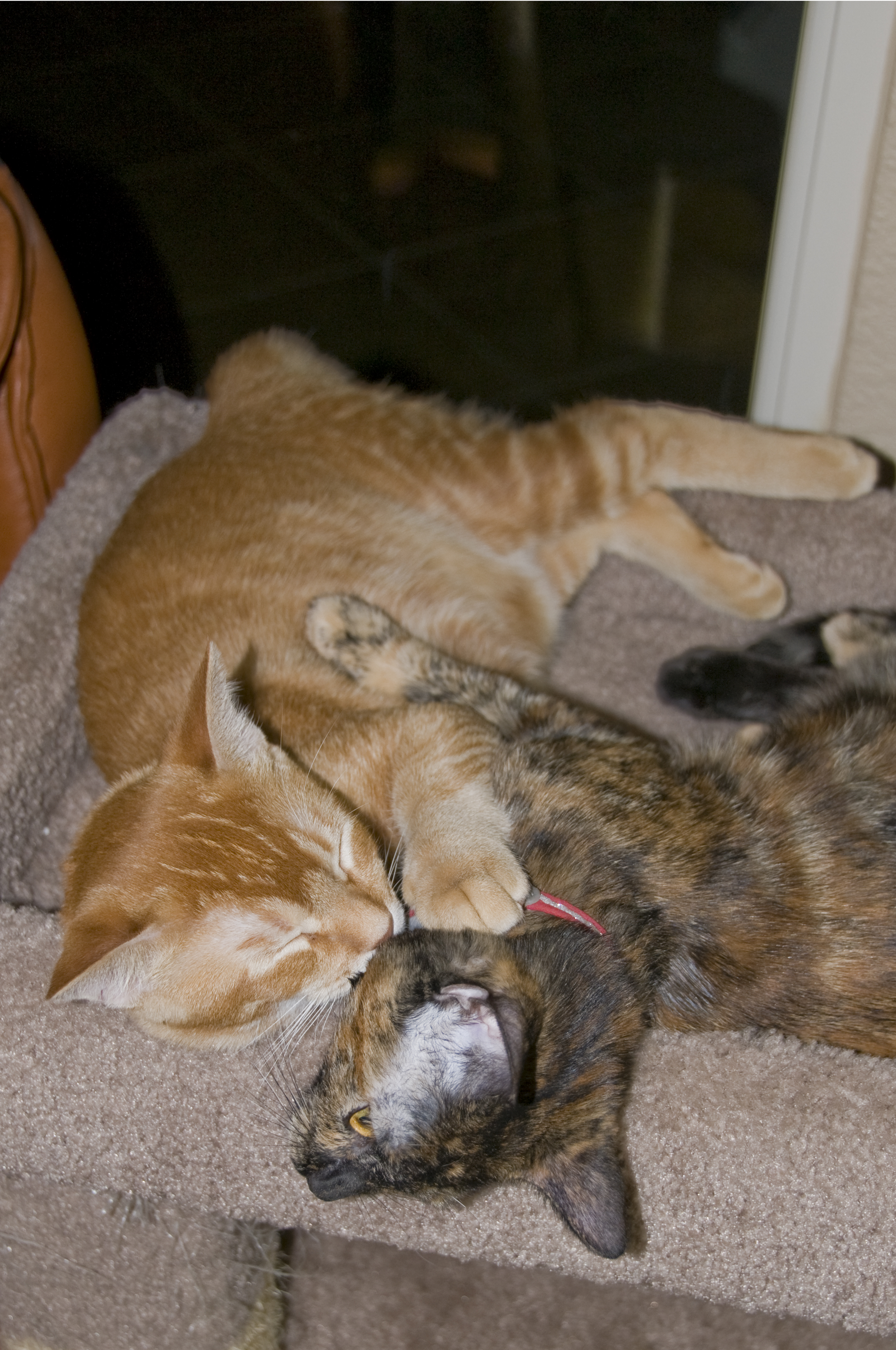 October 31, 2008 8:34 PM