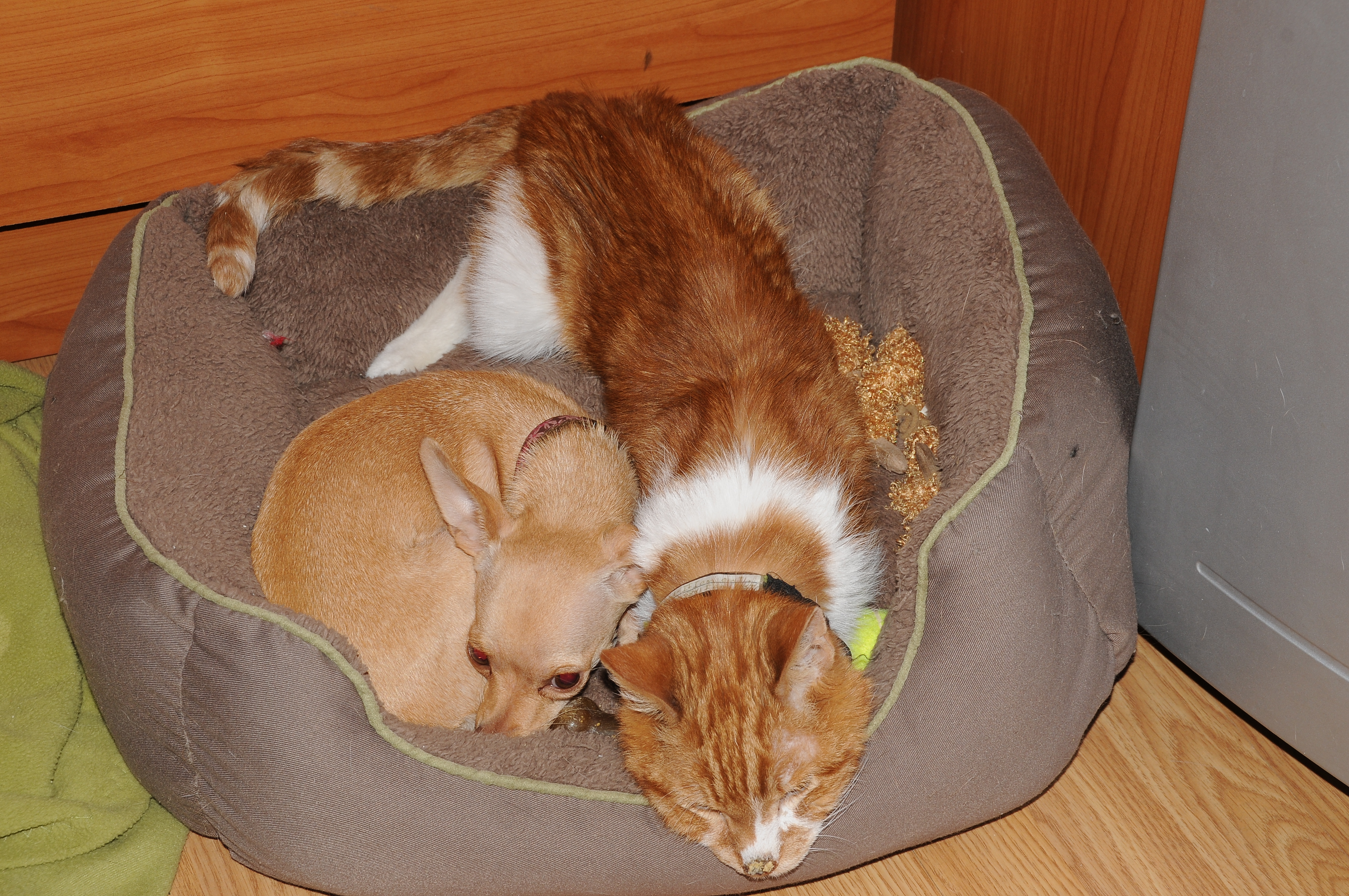 May 29, 2012 7:50 PM