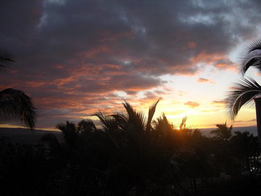 October 11, 2007 9:03 PM