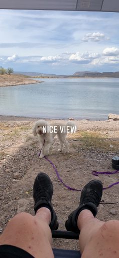 IMG_1177.jpeg